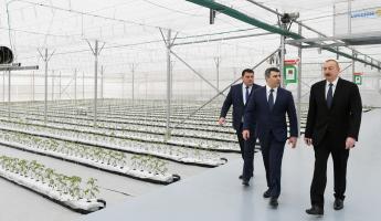 Ilham Aliyev attended inauguration of Research Institute of Vegetable Growing