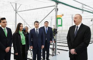 Speech by Ilham Aliyev at the opening of Research Institute of Vegetable Growing