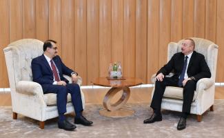 Ilham Aliyev met with Turkish minister of energy and natural resources