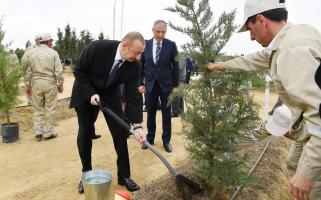 İlham Əliyev ulu öndər Heydər Əliyevin doğum gününə həsr olunan ağacəkmə aksiyasında iştirak edib