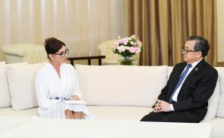 Первый вице-президент Мехрибан Алиева встретилась с заместителем генерального секретаря ООН Лю Чжэньминем