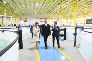 Ilham Aliyev familiarized himself with production process at NaraMIZ fish farm in Pirallahi district