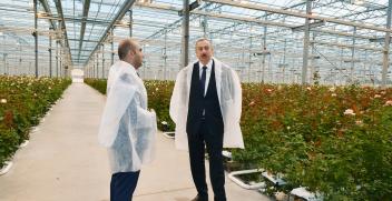 Ilham Aliyev viewed floricultural greenhouse in Gabala