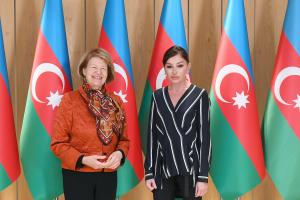 Первый вице-президент Мехрибан Алиева встретилась с торговым посланником премьер-министра Великобритании по Азербайджану