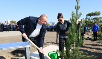 Ilham Aliyev and first lady Mehriban Aliyeva attended tree-planting campaign in Khatai district, Baku