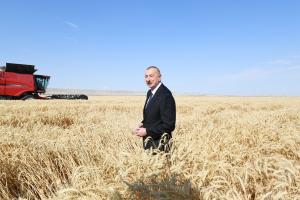 Ilham Aliyev viewed activities of agropark owned by Agro Dairy LLC in Samukh