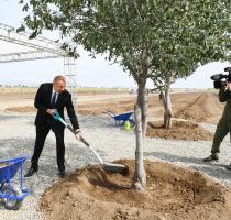 Ilham Aliyev has attended a tree-planting ceremony in Aghdam city forest park