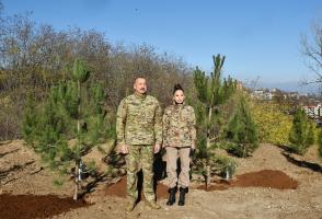 Ilham Aliyev and First Lady Mehriban Aliyeva planted trees in Jidir Duzu