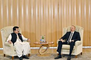 Ilham Aliyev received Chairman of Senate of Pakistan