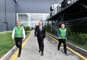 Ильхам Алиев принял участие в открытии завода по переработке оливкового масла и столовых оливок в поселке Зиря