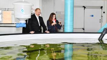 Ilham Aliyev and First Lady Mehriban Aliyeva have viewed the conditions created at the Sturgeon Breeding Farm owned by “Azerbaijan Fish Farm” LLC in the Yenikand village of the Neftchala district