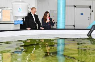 Visit of Ilham Aliyev to the regions of Neftchala and Salyan