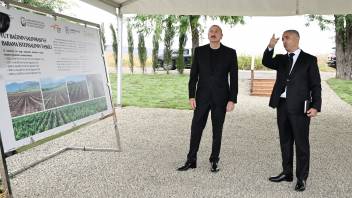 İlham Əliyev Xocalının Daşbulaq kəndində tut bağında görülmüş işlərlə tanış olub