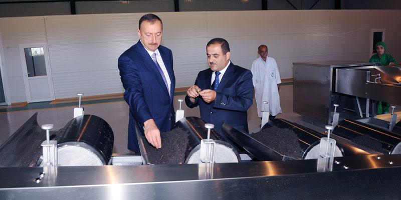 Ilham Aliyev attended the opening ceremony of a tea factory in Lankaran