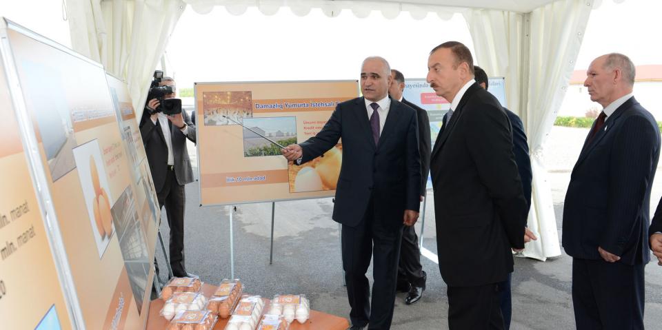 Ilham Aliyev attended the opening of the pedigree poultry farm “Araz” in Imishli