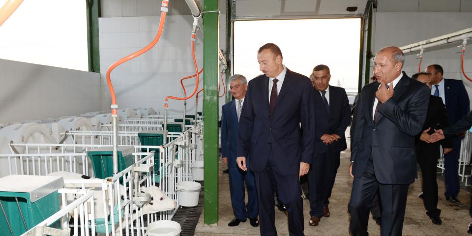 Ilham Aliyev attended the opening of the Agjabadi livestock breeding complex "Agat-Agro"