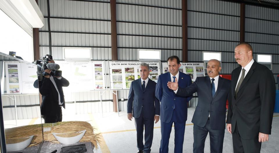 Ilham Aliyev viewed rice paddies and opened rice plant in Lankaran