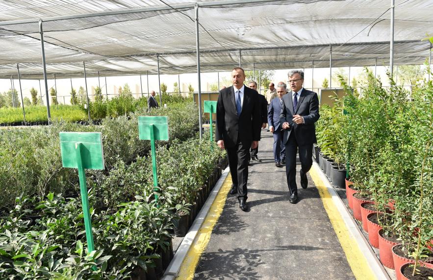 Ilham Aliyev visited seawater desalination complex in Salyan