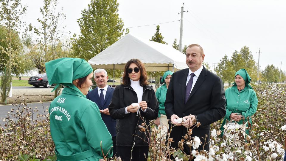 Ilham Aliyev viewed cotton field in Hindarkh settlement in Aghjabadi