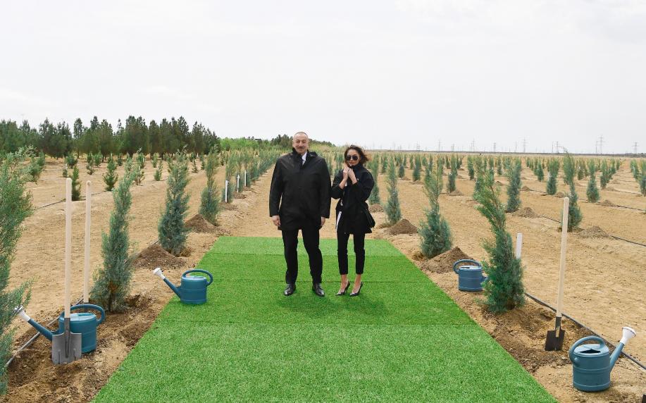 Ilham Aliyev and first lady Mehriban Aliyeva planted trees on the occasion of national leader Heydar Aliyev’s birth anniversary