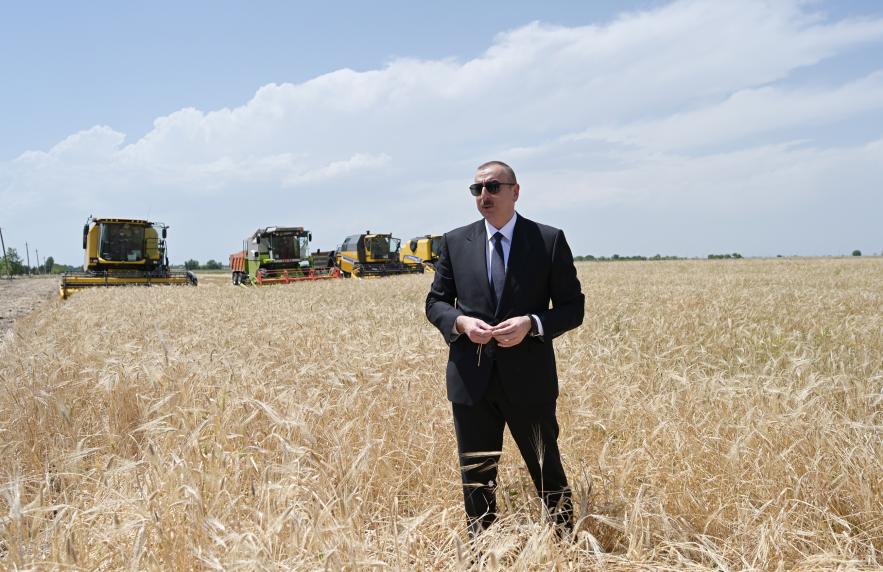 Ilham Aliyev attended ceremony to start grain harvest in Aghjabadi