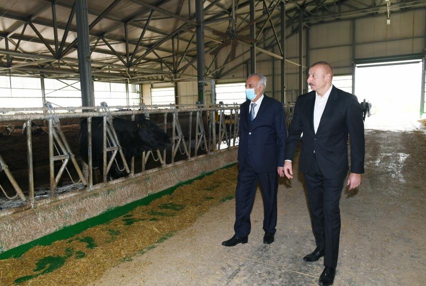 Ilham Aliyev attended inauguration of Azersun Shamakhi Agropark in Hajigabul