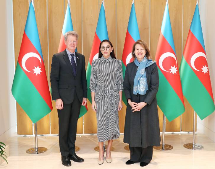 First Vice-President Mehriban Aliyeva met with UK Prime Minister's Trade Envoy to Azerbaijan