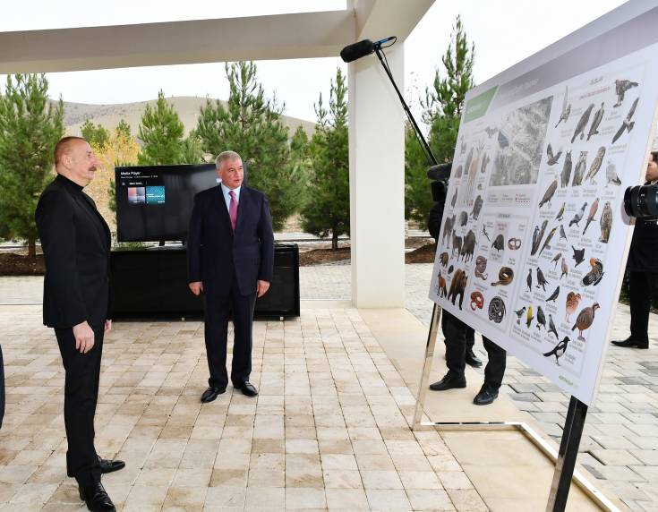 Президент Ильхам Алиев ознакомился с условиями, созданными в Агропарке «Шеки-Огуз»