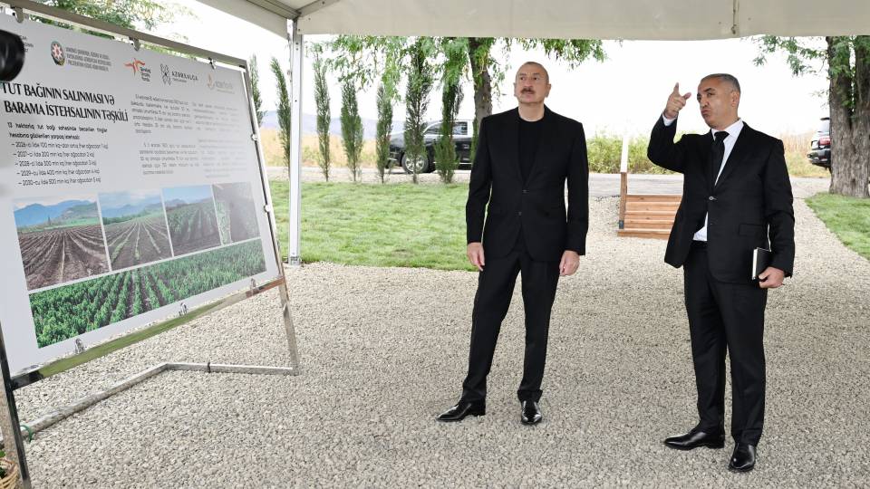 Ilham Aliyev inspected work at mulberry orchard in Dashbulag village of Khojaly